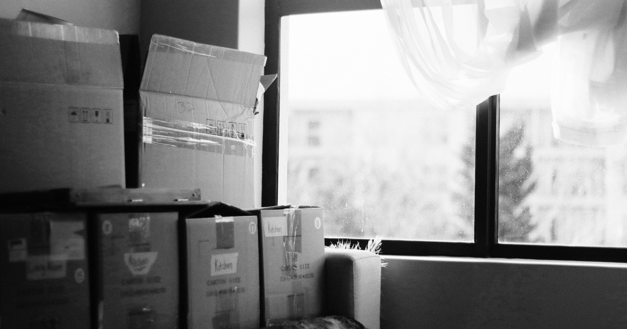 Visual for: Life Update: A lot has happened