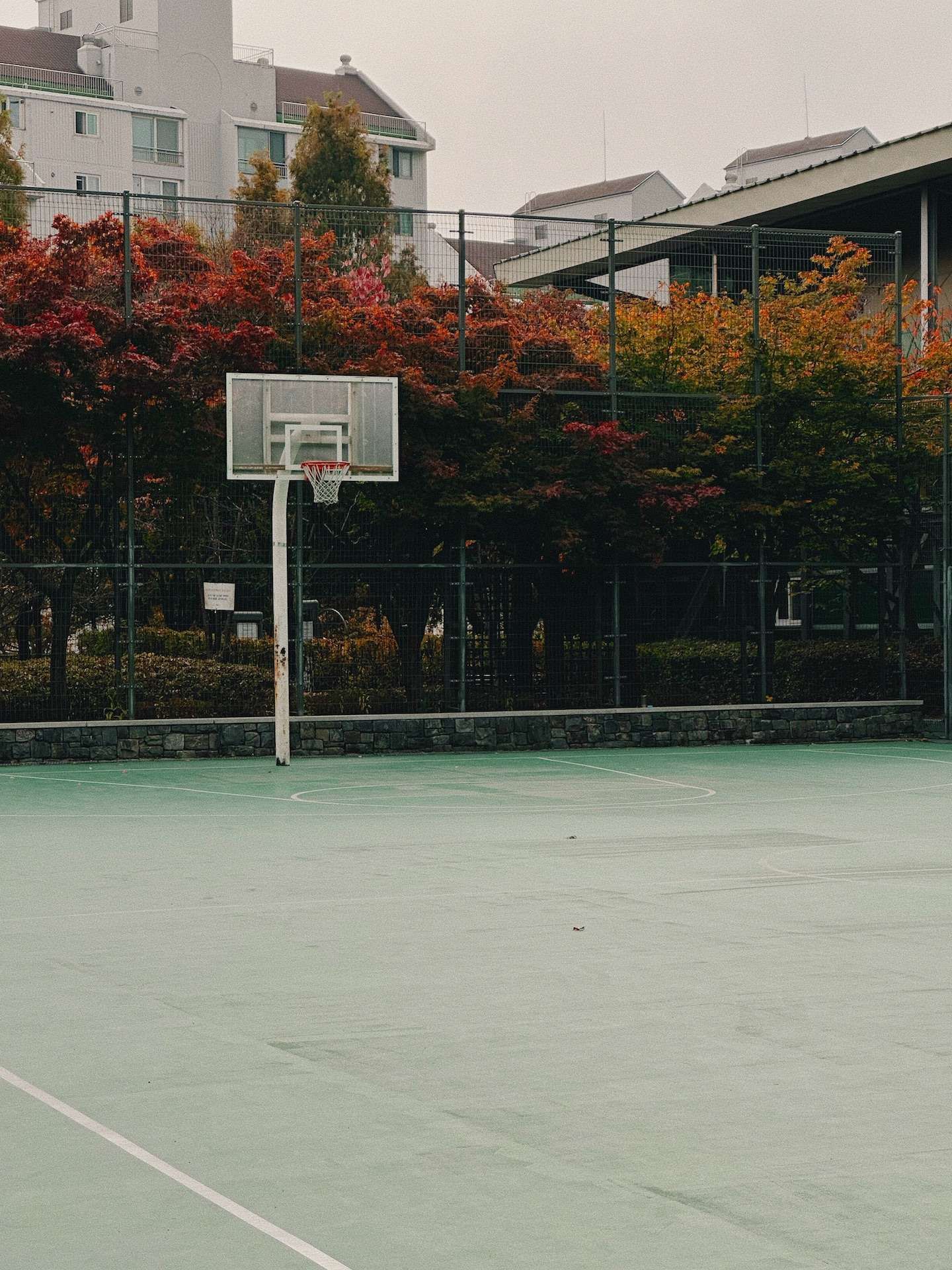 basketball.jpg