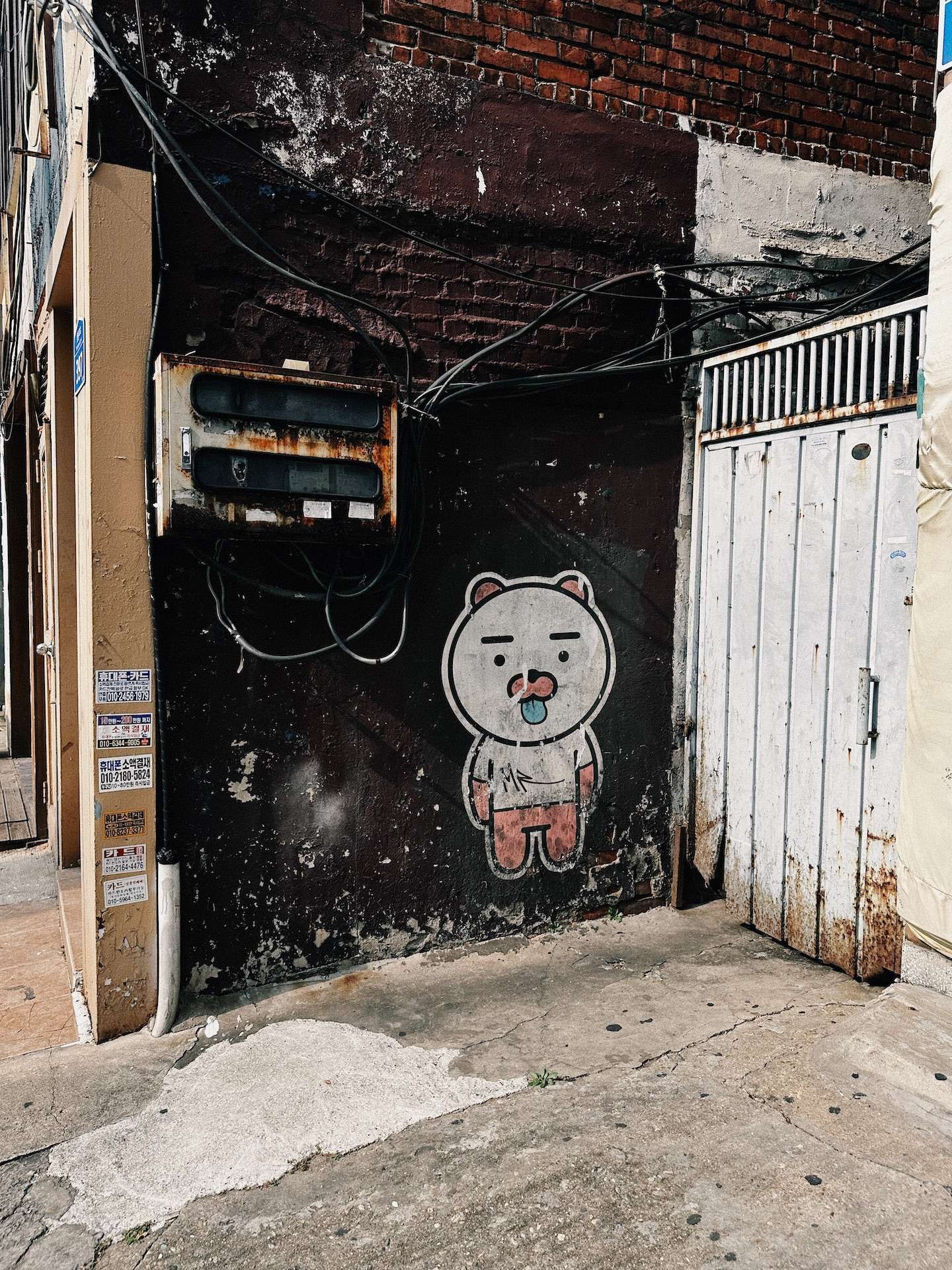 sneaky-bear.jpg
